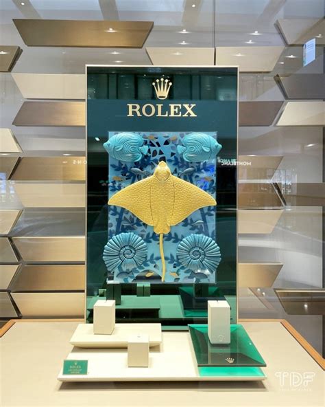 rolex watch display|rolex window display.